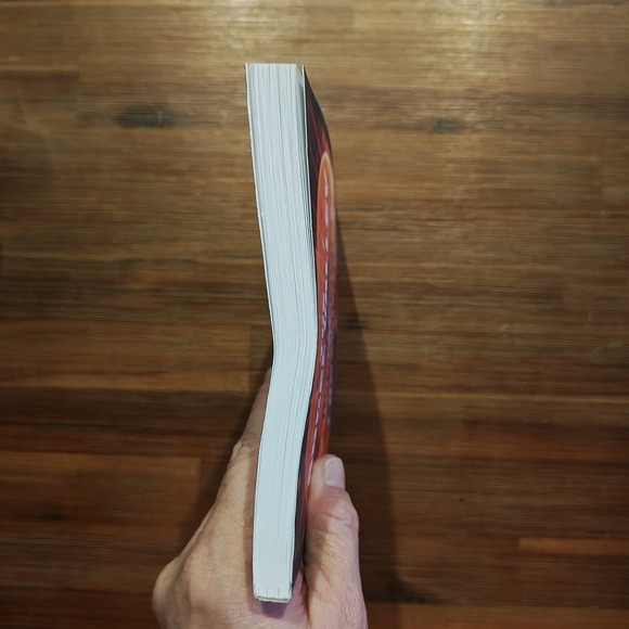 The Angel Valley Labyrinth Supernatural Gateway Arizona Mike Davis 9798727986097 - Picture 4 of 7